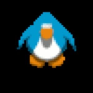 Meet your Posher, Chase